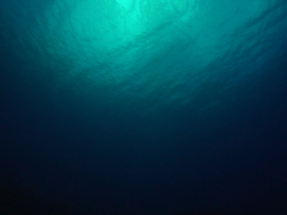 When You Finally Dive